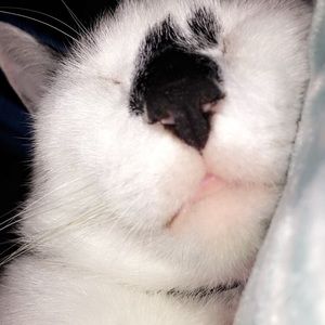 Meet your Posher, Hailey